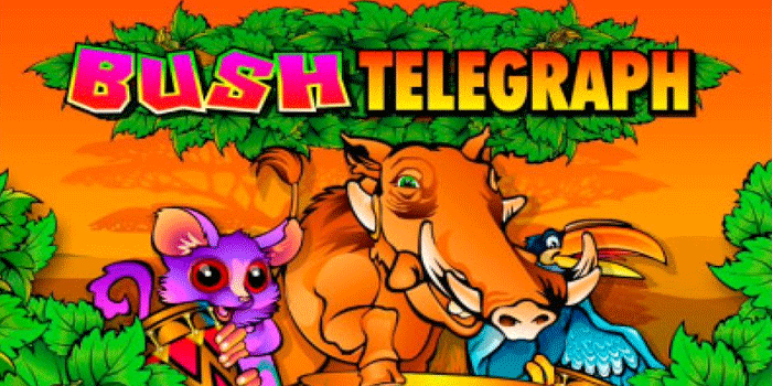 Slot Bush Telegraph Terpercaya Dengan Kemenangan Nyata